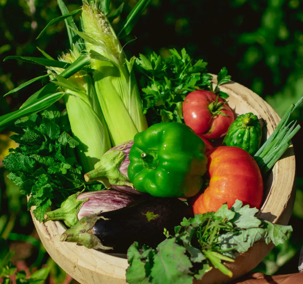 Fresh Fruits & Vegetables