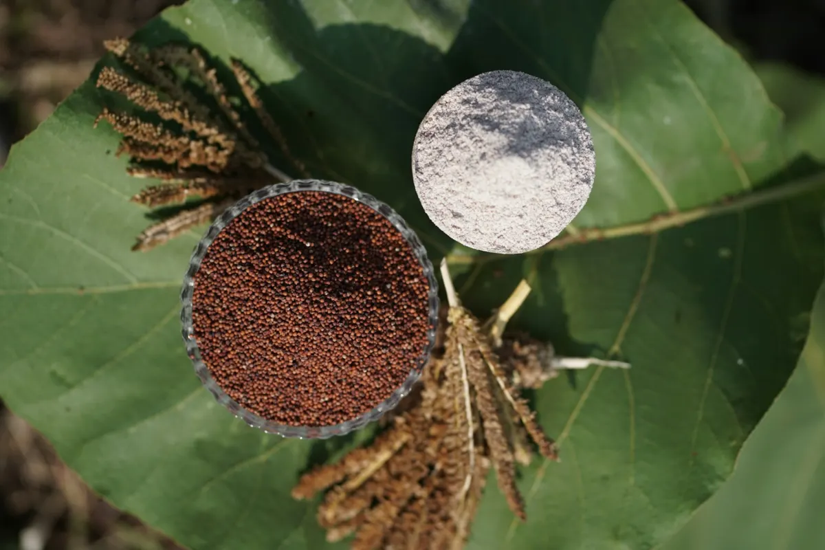 Millets & Healthy Foods